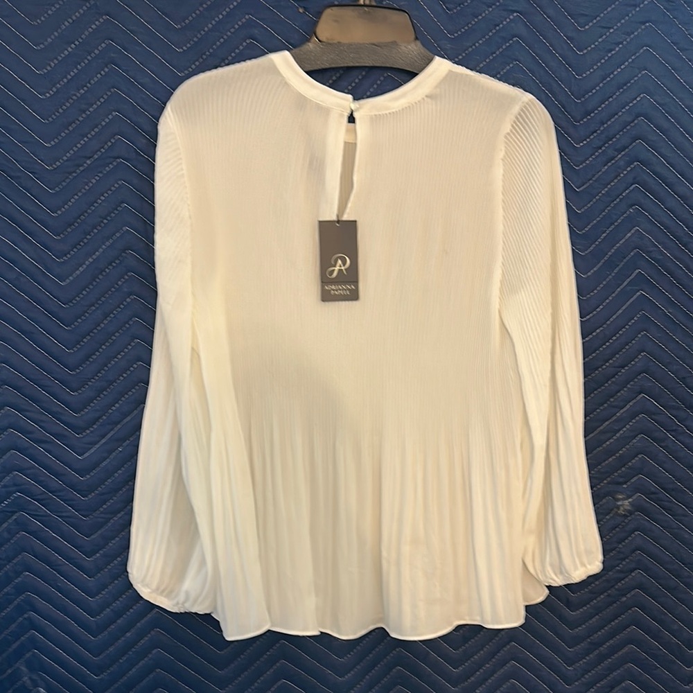 Adrianna Papell Cream Pleated Long Sleeve Blouse